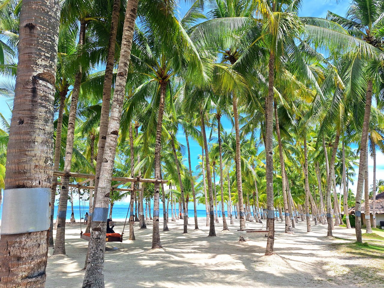 Custom Home Builders Coconut Grove